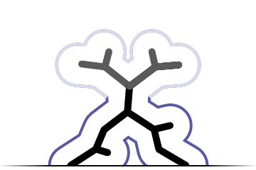 Alternative conformations